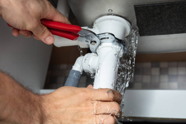 Best Mold removal after water damage  in Orange Park, FL