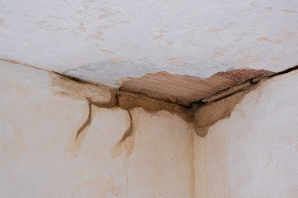 Best Commercial water damage restoration  in Orange Park, FL