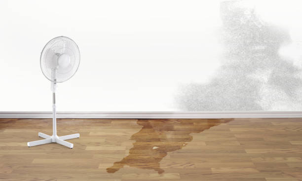 Best Commercial water damage restoration  in Orange Park, FL