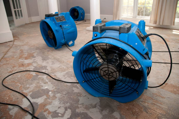 Reliable Orange Park, FL Water damage restoration Solutions