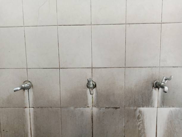  Orange Park, FL Water damage restoration Pros