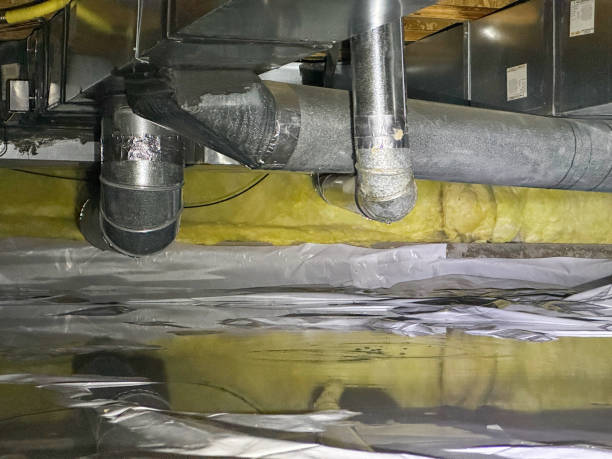 Best Water damage restoration near me  in Orange Park, FL
