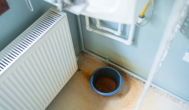 Best Water damage restoration near me  in Orange Park, FL