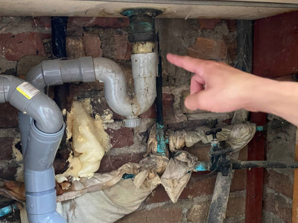 Best Water damage cleanup near me  in Orange Park, FL
