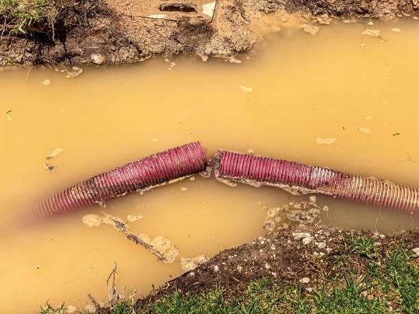 Best Sewage cleanup and water damage restoration  in Orange Park, FL