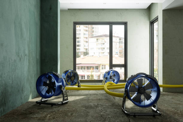 Best Fire Damage Restoration  in Orange Park, FL