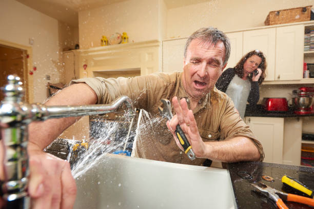 Best Flood restoration services  in Orange Park, FL